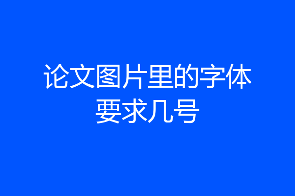 论文图片里的字体要求几号