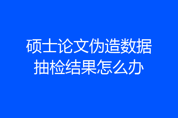 硕士论文伪造数据抽检结果怎么办