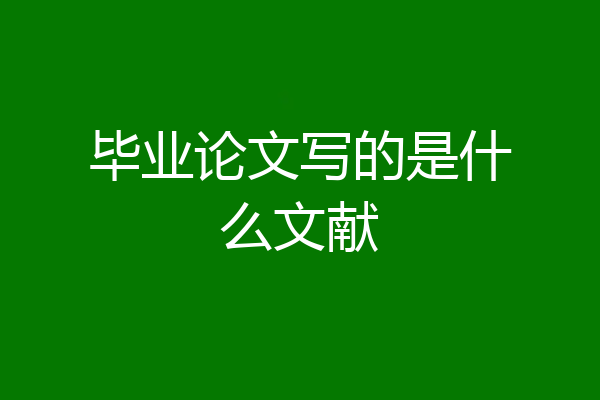 毕业论文写的是什么文献