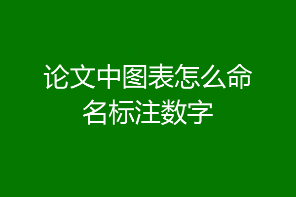 论文中图表怎么命名标注数字