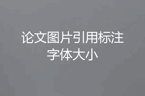 论文图片引用标注字体大小