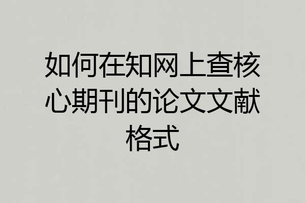 如何在知网上查核心期刊的论文文献格式