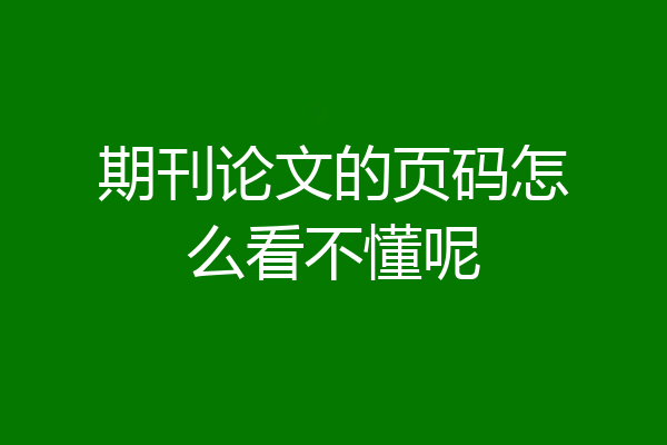 期刊论文的页码怎么看不懂呢