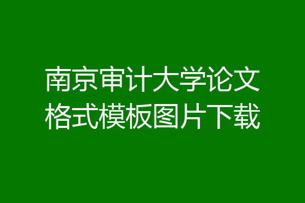 南京审计大学论文格式模板图片下载
