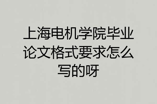上海电机学院毕业论文格式要求怎么写的呀