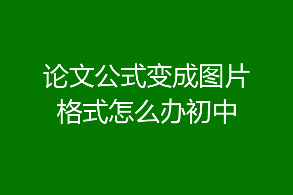 论文公式变成图片格式怎么办初中
