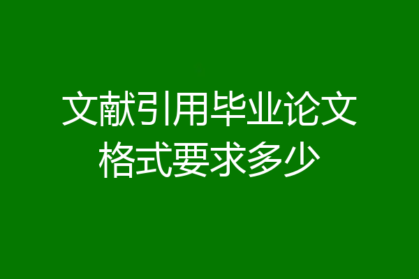 文献引用毕业论文格式要求多少