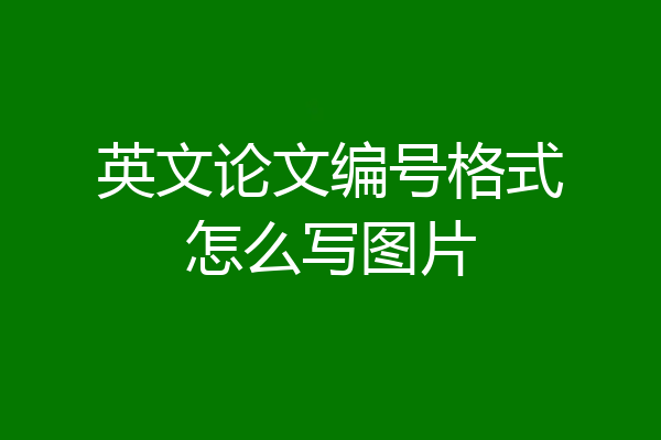 英文论文编号格式怎么写图片
