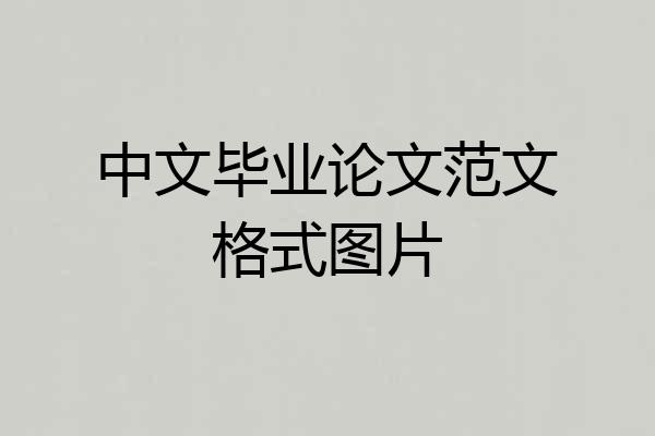 中文毕业论文范文格式图片