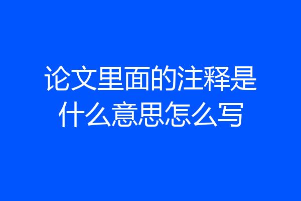 论文里面的注释是什么意思怎么写