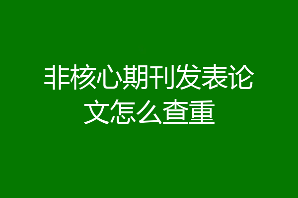 非核心期刊发表论文怎么查重