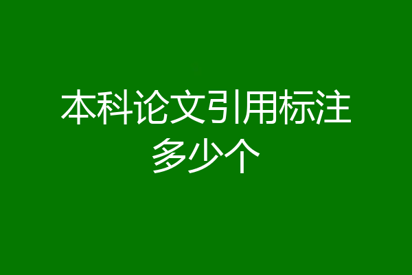 本科论文引用标注多少个