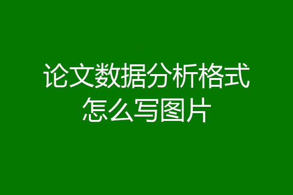论文数据分析格式怎么写图片