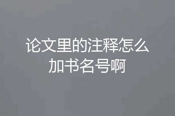 论文里的注释怎么加书名号啊