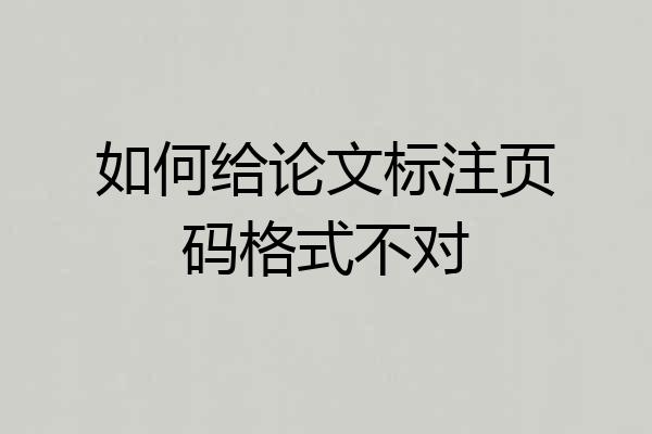 如何给论文标注页码格式不对