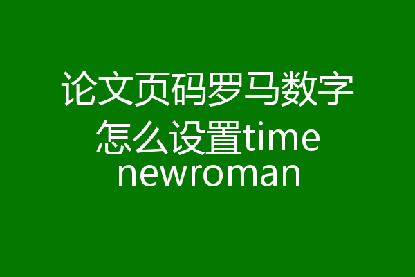 论文页码罗马数字怎么设置timenewroman