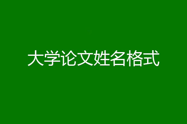 大学论文姓名格式