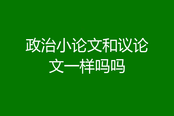 政治小论文和议论文一样吗吗