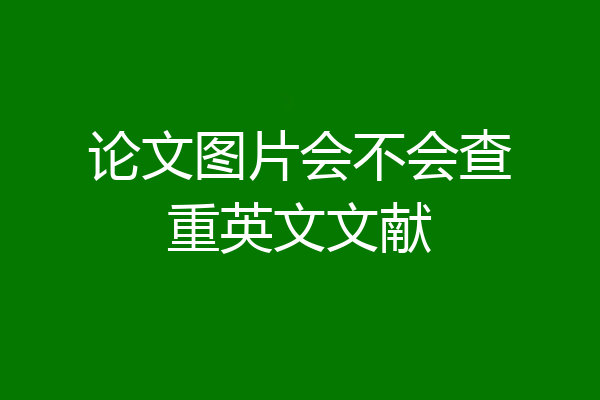 论文图片会不会查重英文文献
