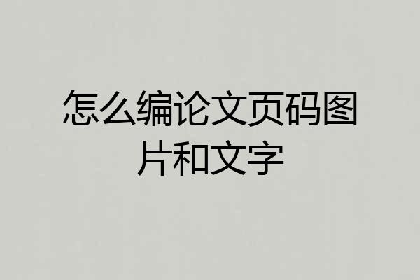 怎么编论文页码图片和文字