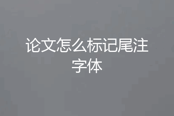 论文怎么标记尾注字体
