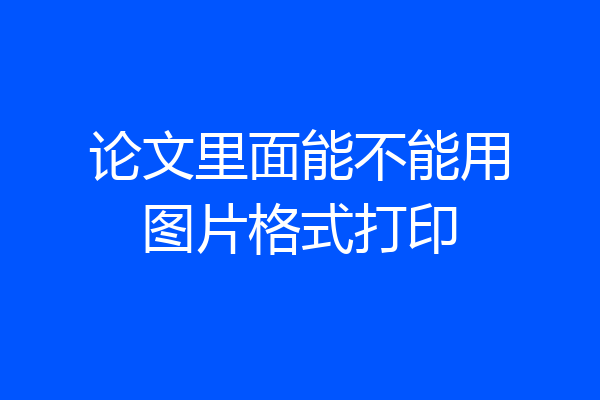 论文里面能不能用图片格式打印