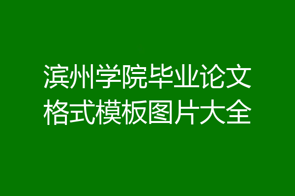 滨州学院毕业论文格式模板图片大全