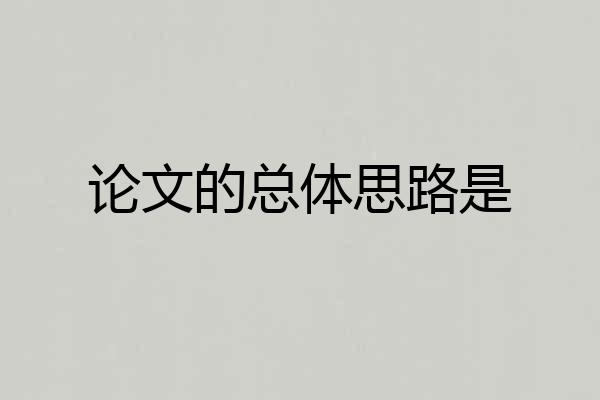 论文的总体思路是