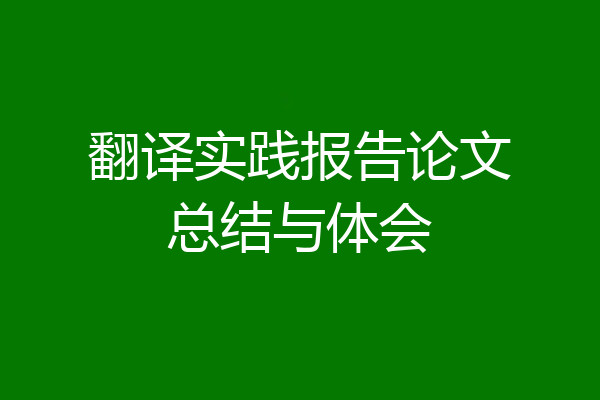 翻译实践报告论文总结与体会