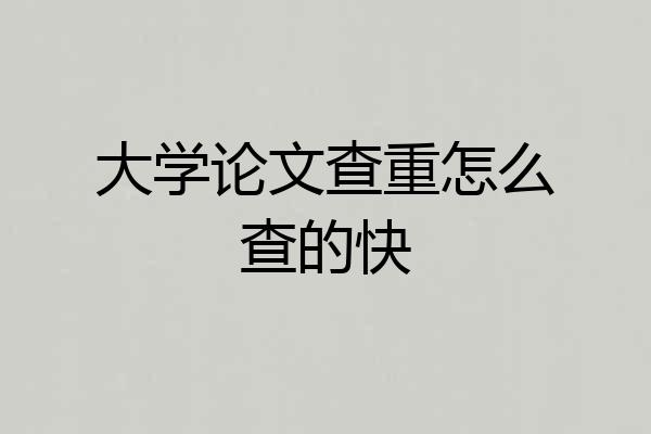 大学论文查重怎么查的快