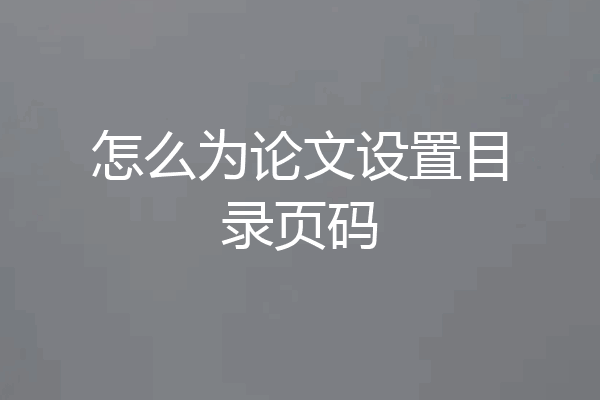 怎么为论文设置目录页码