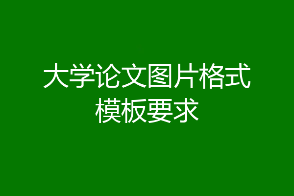 大学论文图片格式模板要求