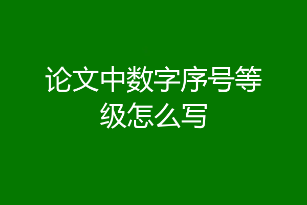 论文中数字序号等级怎么写