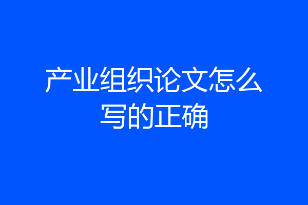产业组织论文怎么写的正确