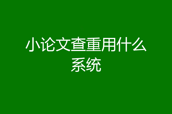 小论文查重用什么系统
