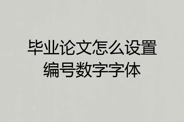 毕业论文怎么设置编号数字字体