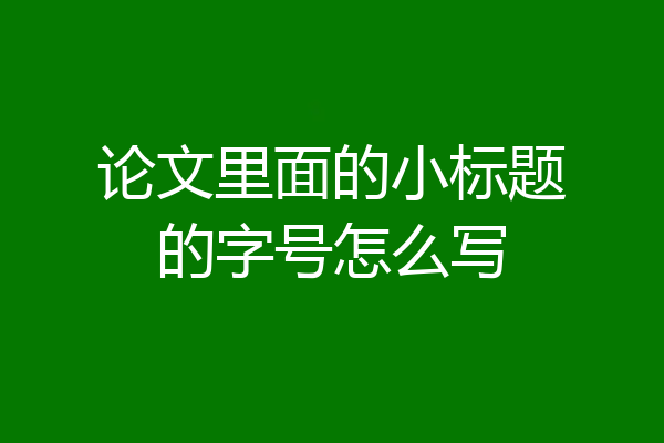 论文里面的小标题的字号怎么写