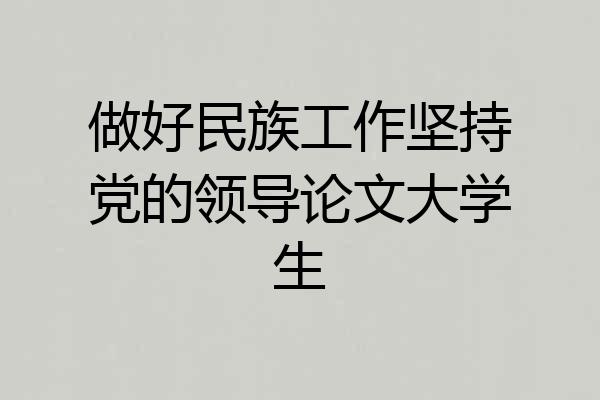 做好民族工作坚持党的领导论文大学生