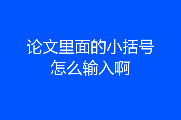 论文里面的小括号怎么输入啊