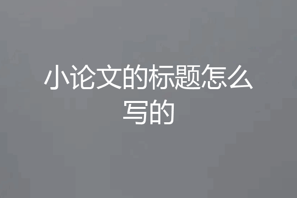 小论文的标题怎么写的