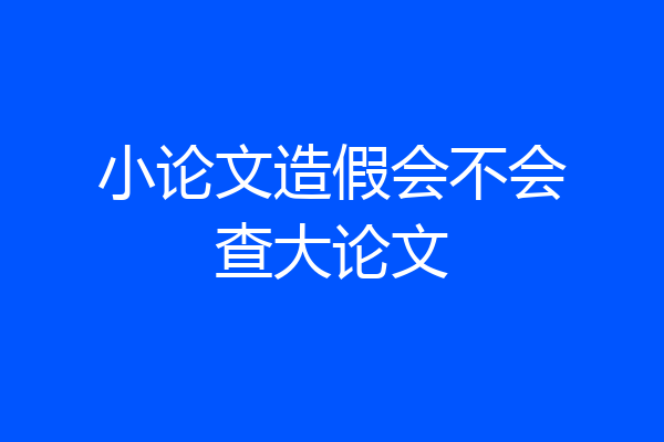 小论文造假会不会查大论文