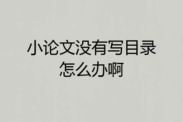 小论文没有写目录怎么办啊