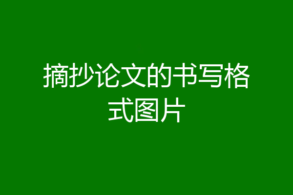 摘抄论文的书写格式图片