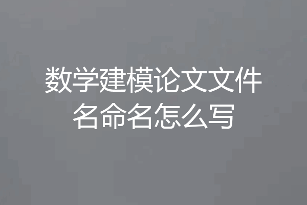 数学建模论文文件名命名怎么写