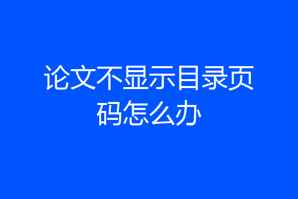 论文不显示目录页码怎么办