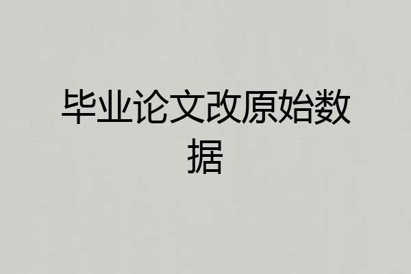 毕业论文改原始数据