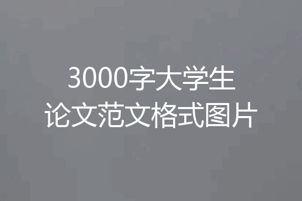 3000字大学生论文范文格式图片