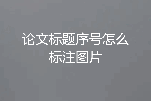 论文标题序号怎么标注图片