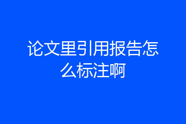 论文里引用报告怎么标注啊