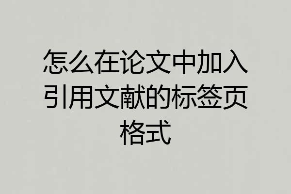 怎么在论文中加入引用文献的标签页格式